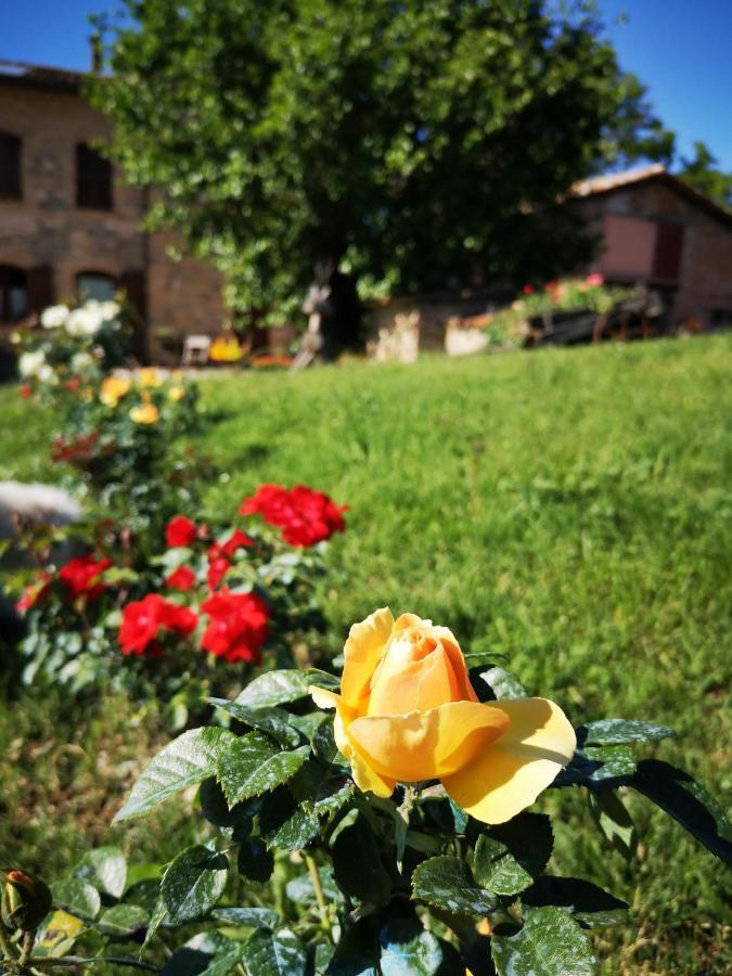 Da Foschetta Villa Matelica Dış mekan fotoğraf