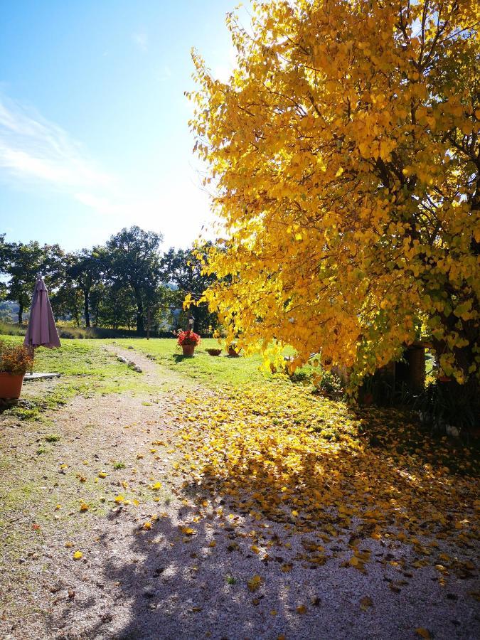 Da Foschetta Villa Matelica Dış mekan fotoğraf